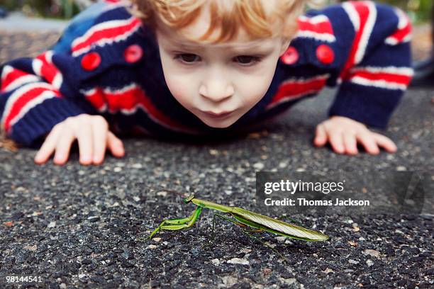 boy looking at praying mantis - kind dier stockfoto's en -beelden