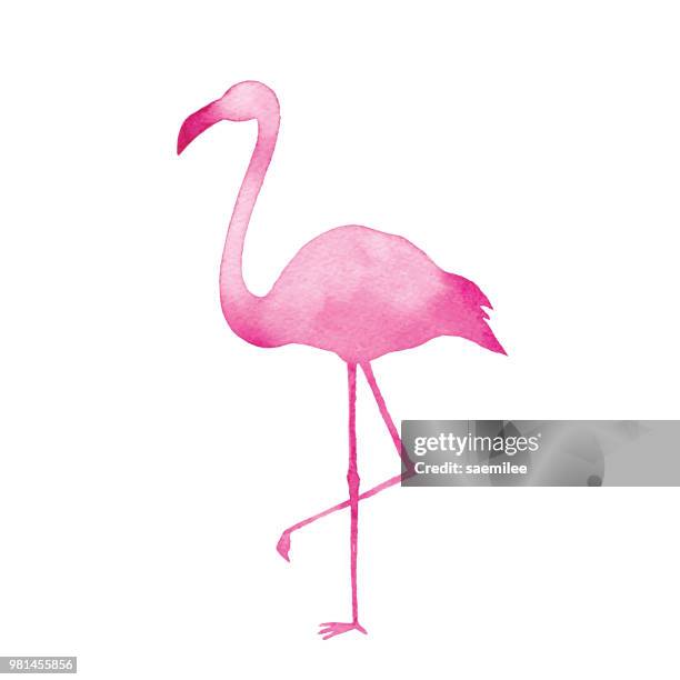1 3点のflamingoイラスト素材 Getty Images 1 3点のflamingoイラスト素材 Getty Images