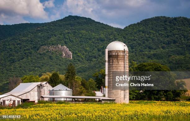 farm with mountains in background, west virginia, usa - appalachia stockfoto's en -beelden