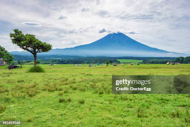 mt.fuji and campground in summer at fumotoppara campground, shizuoka ,thailand - doctoregg stock pictures, royalty-free photos & images