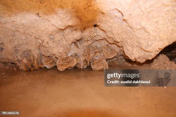 rose des sables - rose des sables stock pictures, royalty-free photos & images