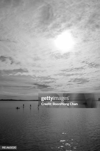 surfboard paddling -  port stephens nelson's bay, australia - port stephens stock pictures, royalty-free photos & images