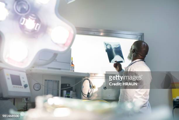 doctor buscando en rayos x en caja de luz en el hospital - panel de luz fotografías e imágenes de stock