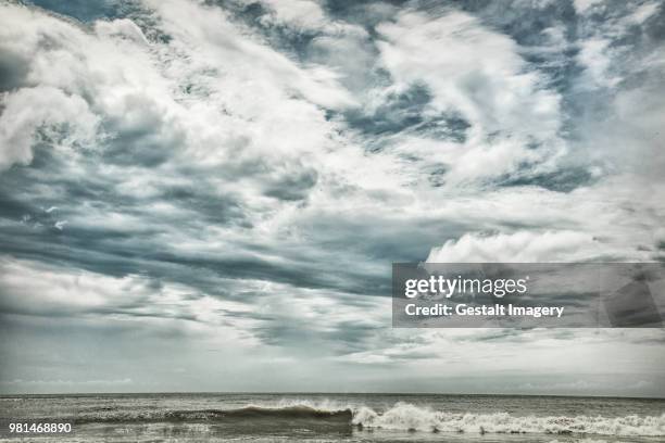 botany bay beach, south carolina - carolina beach stock pictures, royalty-free photos & images