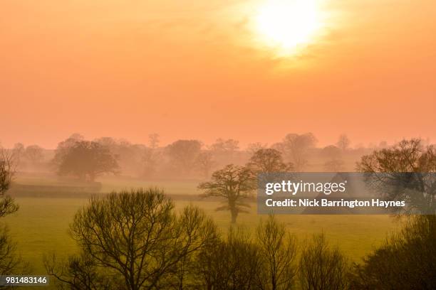 sunset through the mist - nick haynes stock pictures, royalty-free photos & images