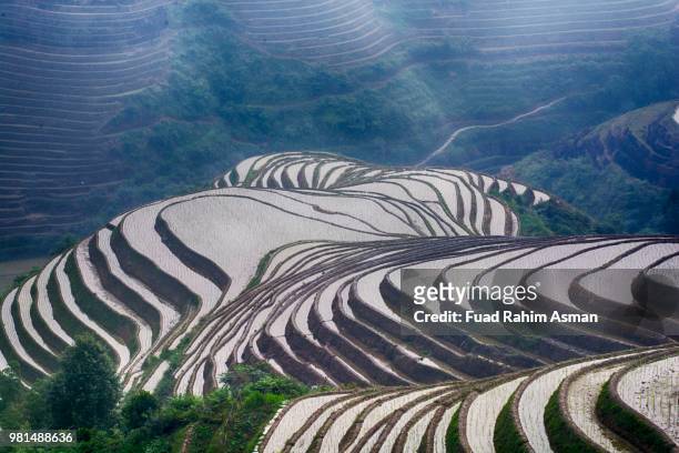 rice terraces, longsheng county, guanxi, china - longsheng stock-fotos und bilder