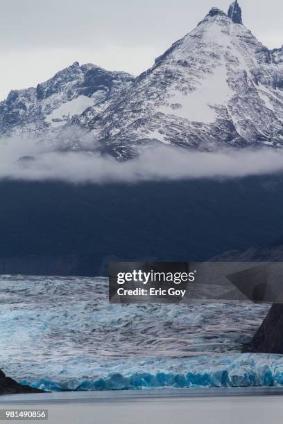 glaciar grey - glaciar stock pictures, royalty-free photos & images