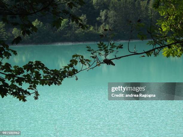 ramo su lago - ramo stockfoto's en -beelden