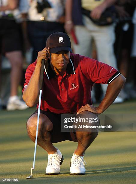 Tiger Woods lines up a putt during play in the 2005 Tavistock Cup at Isleworth Country Club March 29.