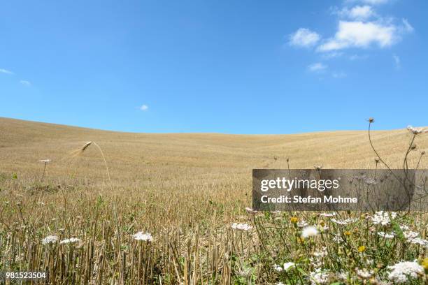 ernte - ernte stockfoto's en -beelden