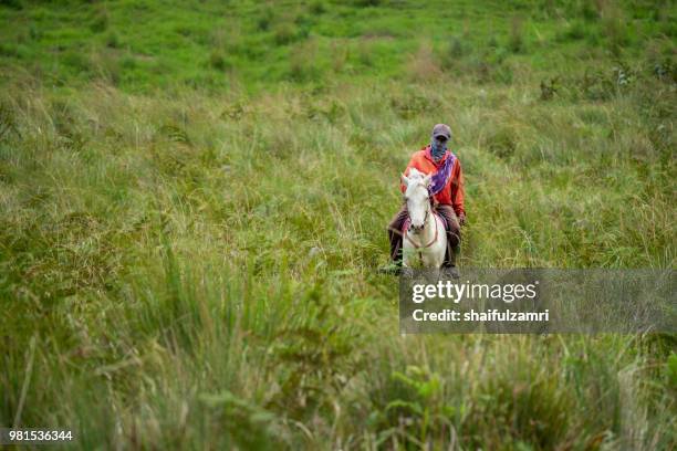 unidentified local people or bromo horseman at the mountainside of mount bromo, semeru, tengger national park, east java of indonesia. - bromo horse stock pictures, royalty-free photos & images