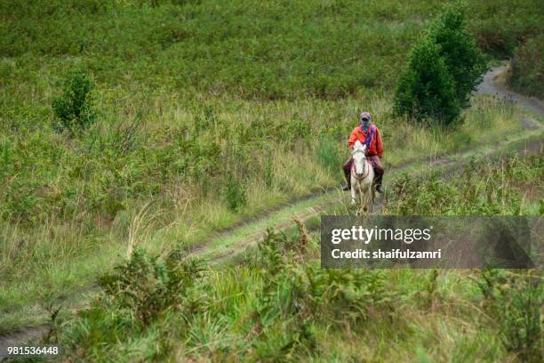 unidentified local people or bromo horseman at the mountainside of mount bromo, semeru, tengger national park, east java of indonesia. - shaifulzamri - fotografias e filmes do acervo
