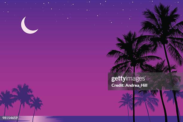 palm trees in the moonlight - sedation stock illustrations