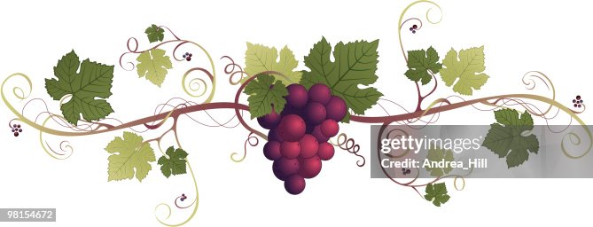 Grape Decorative Element Grape Decorative Element