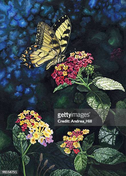 sommer schwalbenschwanz gemälde - swallowtail butterfly stock-grafiken, -clipart, -cartoons und -symbole