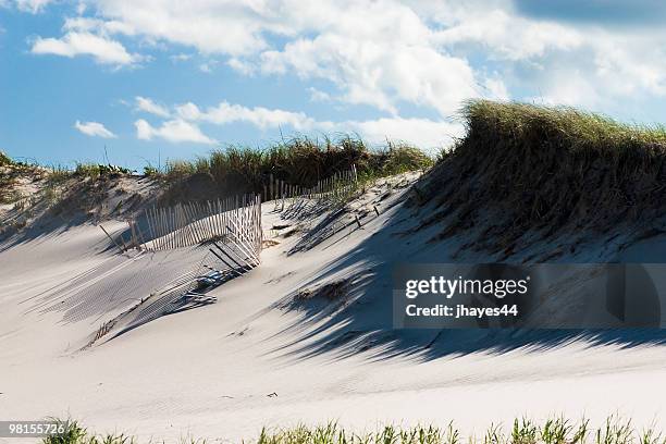 sand dune - truro cape cod stock pictures, royalty-free photos & images