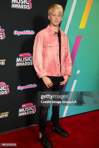 Today's brightest young stars and celebrity entertainers turned out for the 2018 Radio Disney Music Awards , music's biggest event for families, at...