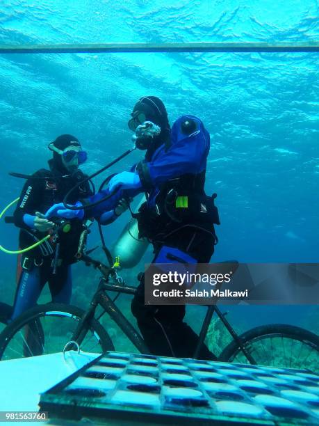 Adnan Nassrat attempts a 48-hour long dive on June 22, 2018 in Aqaba, Jordan. Hassnat seeks to break the Guinness World Record of six days under sea...