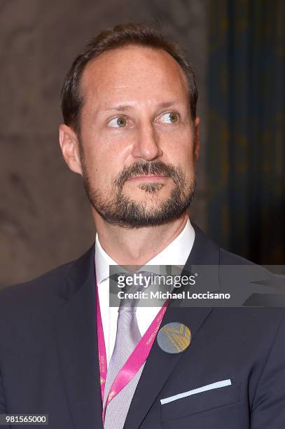 Crown Prince Haakon of Norway visits The United Nations Security Council during Norway's campaign launch for an elected seat in The UN Security...