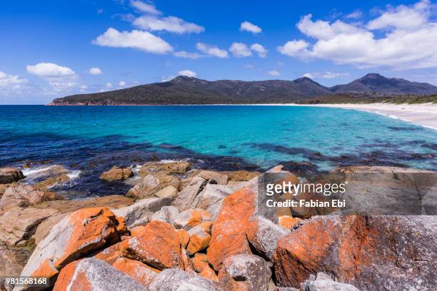 wineglass bay - wineglass bay stock pictures, royalty-free photos & images