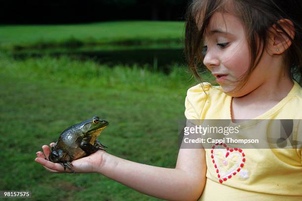 young girl with frog - cappi thompson 個照片及圖片檔