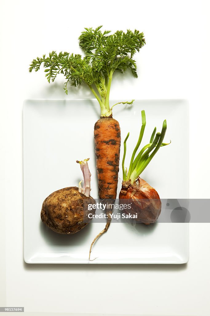 Freshly carrot& sprout  onion&potato on plate