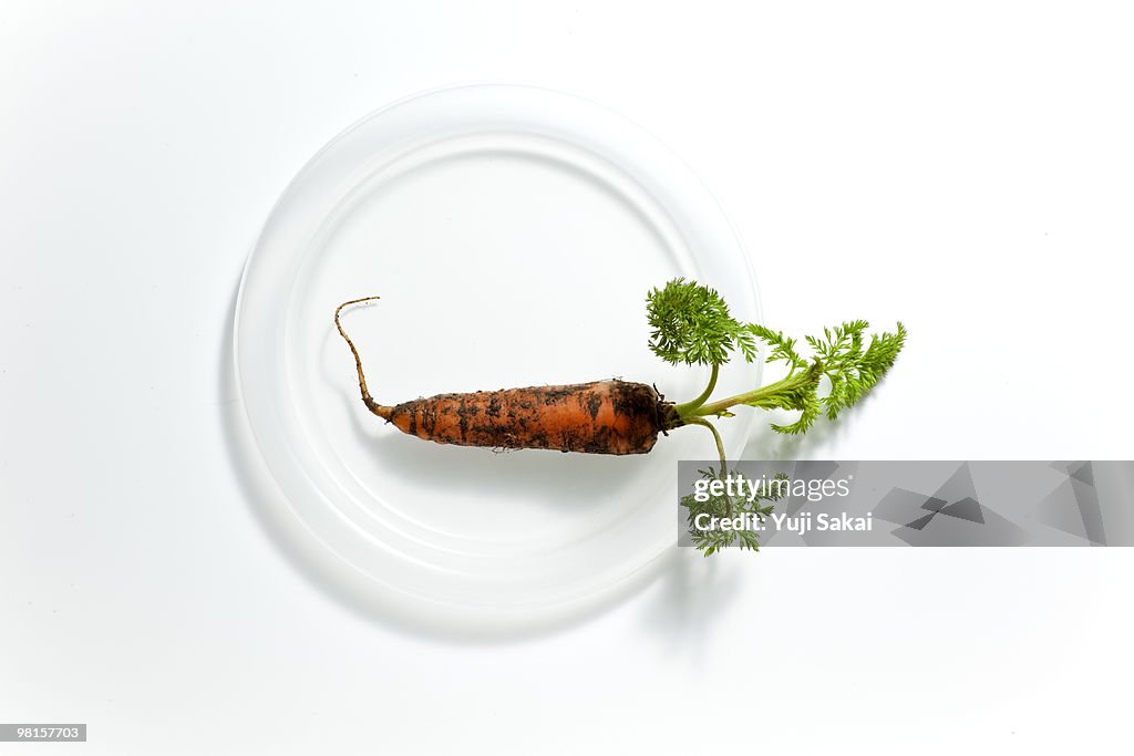 Freshly carrot on  plate