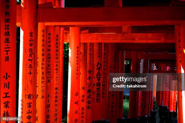 torii - torii gate stock pictures, royalty-free photos & images