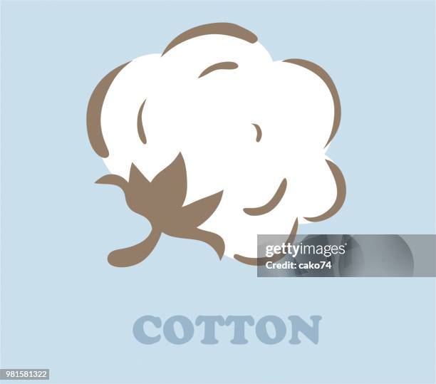 cotton vector illustration - cotton stock illustrations