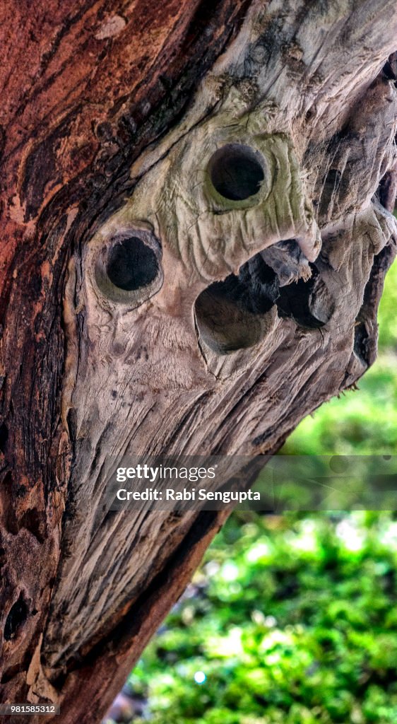 Broken Face in Deadwood