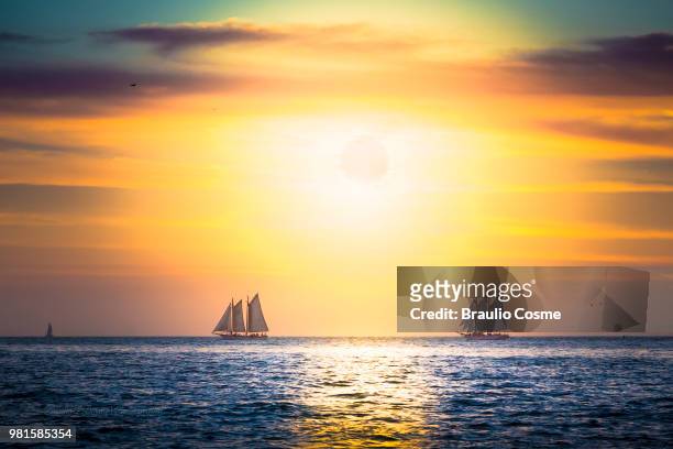 sailboats in sea at sunset, key west, monroe county, florida, usa - monroe county florida stockfoto's en -beelden