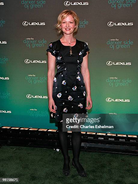 Actress Gretchen Mol attends the Darker Side of Green Climate Change Debate at Skylight West on March 30, 2010 in New York City.