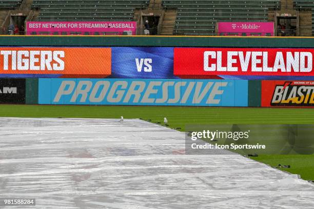 Seagulls are on the tarp and outfield grass as the Major League Baseball game between the Detroit Tigers and Cleveland Indians on June 22 at...