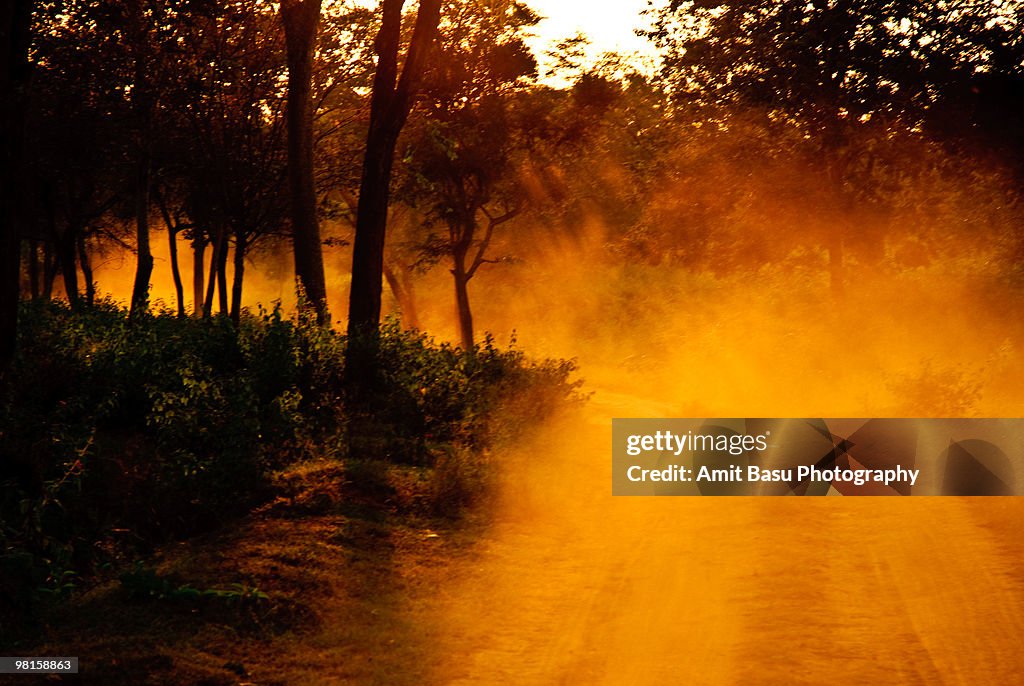 There's a golden dust storm brewing in the east...