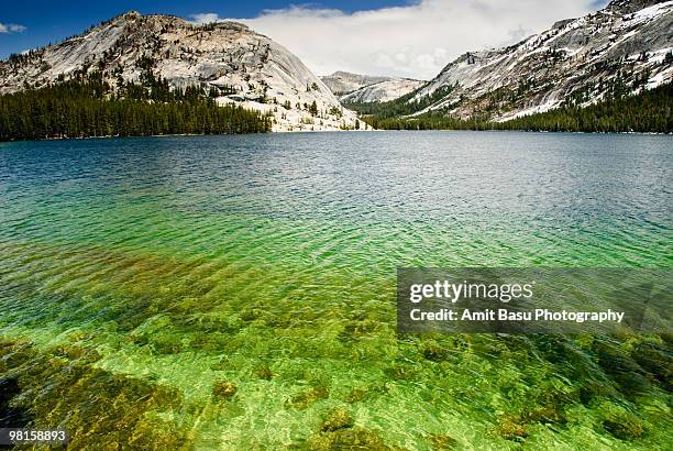 turquoise blue waters of tenaya lake - amit basu stockfoto's en -beelden