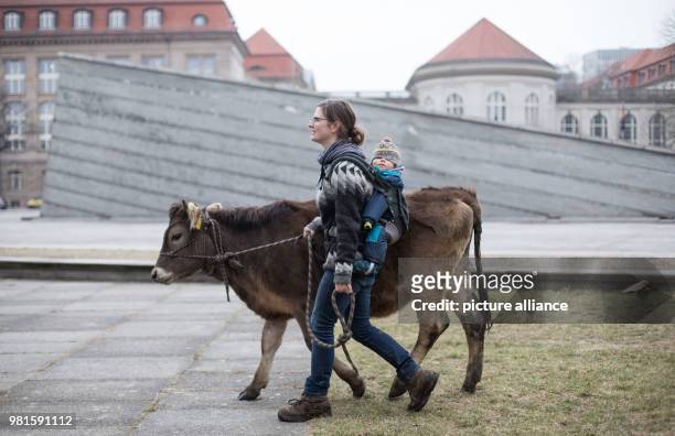 Dpatop - 26 March 2018, Germany, Berlin: Organic farmer Anja Hradetzky from the farm 'Stolze Kuh' going with her child and the one year old cow Omega...