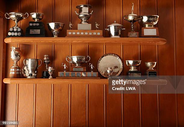 trophies lined up on display shelf - trophy stockfoto's en -beelden