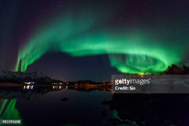 aurores boréales, aurores boréales au nord de la norvège au cours de l’hiver - nordland county photos et images de collection