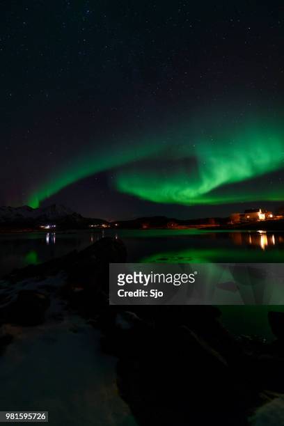 northern lights, aurora borealis over northern norway during winter - sjoerd van der wal or sjo imagens e fotografias de stock