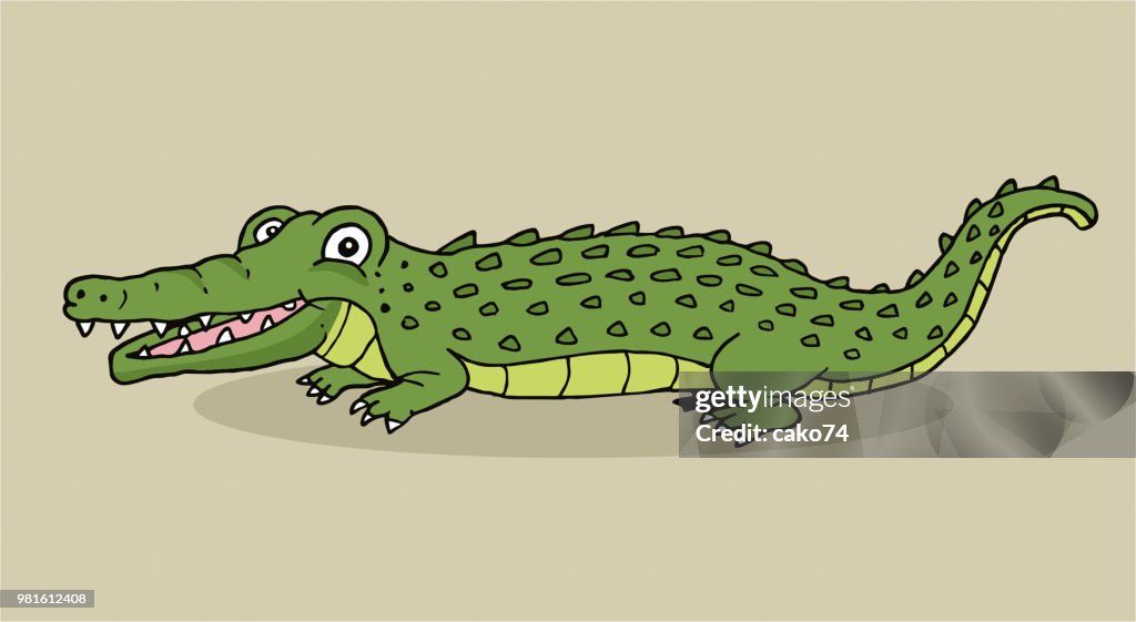 Cartoon Hand Drawn Crocodile High-Res Vector Graphic Getty Images