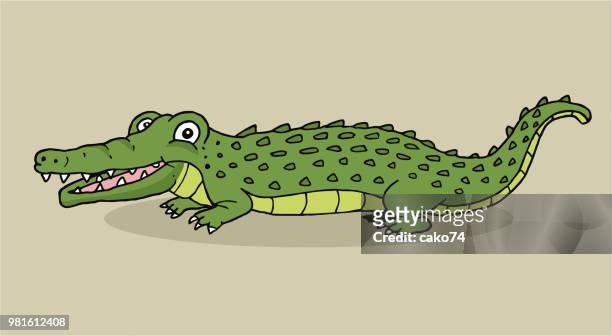 1,154 Crocodile Smile Photos and Premium High Res Pictures - Getty Images