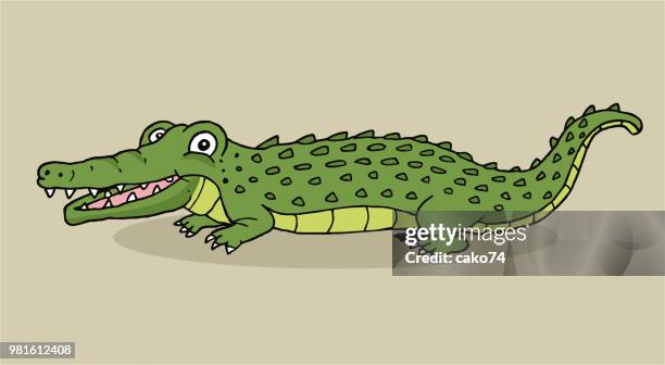 1,154 Crocodile Smile Photos and Premium High Res Pictures - Getty Images 1,154 Crocodile Smile Photos and Premium High Res Pictures - Getty Images