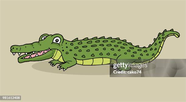 cartoon hand drawn crocodile - crocodile stock illustrations