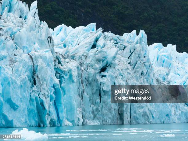 argentina, patagonia, el calafate, puerto bandera, lago argentino, parque nacional los glaciares, estancia cristina, spegazzini glacier, iceberg - parque nacional glacier 個照片及圖片檔