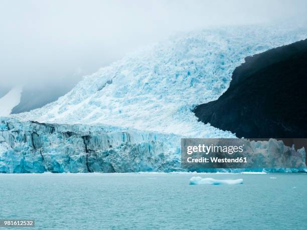 argentina, patagonia, el calafate, puerto bandera, lago argentino, parque nacional los glaciares, estancia cristina, spegazzini glacier, iceberg - lake argentina stockfoto's en -beelden