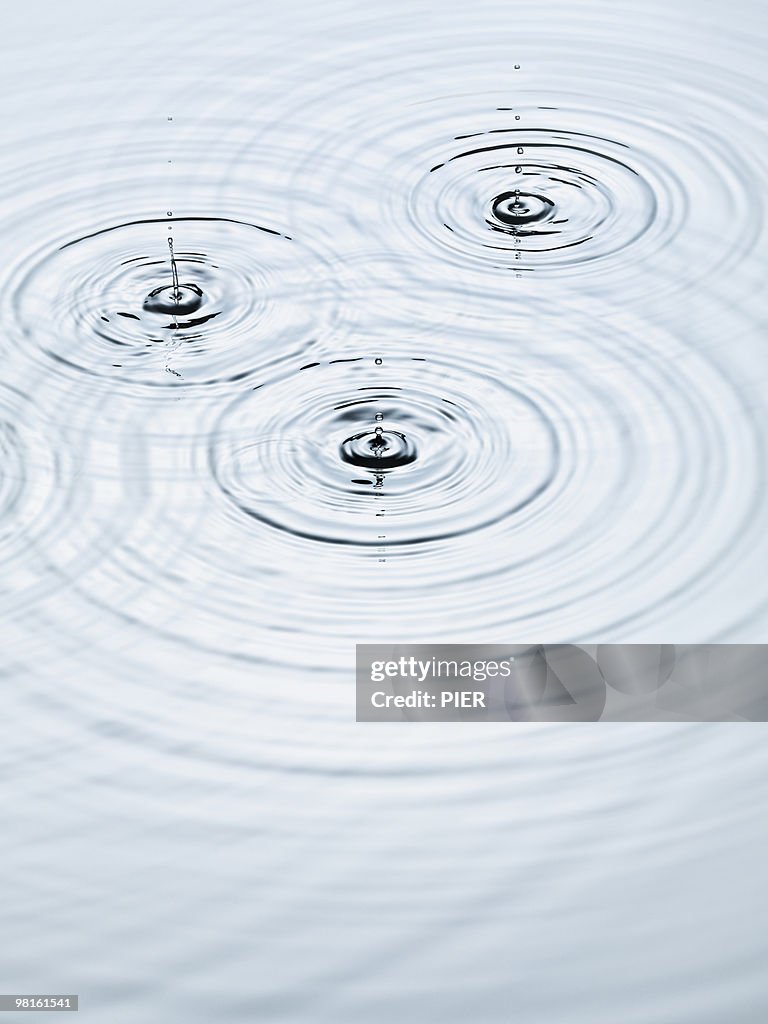 Three water drops forming rings in a pool of water