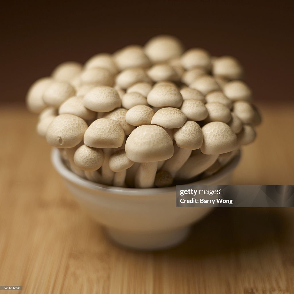 Brown beech mushrooms