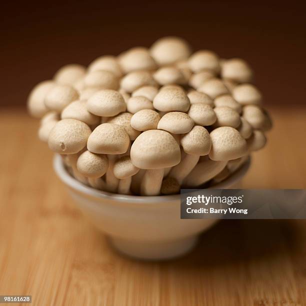 Brown Beech Mushrooms High-Res Stock Photo