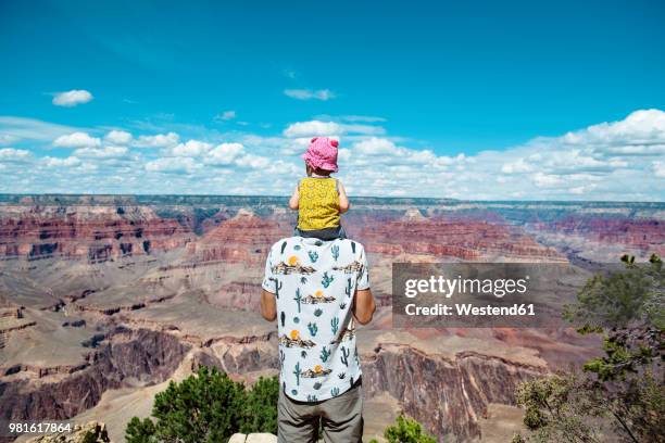 usa, arizona, grand canyon national park, father and baby girl enjoying the view - nationaal park stockfoto's en -beelden