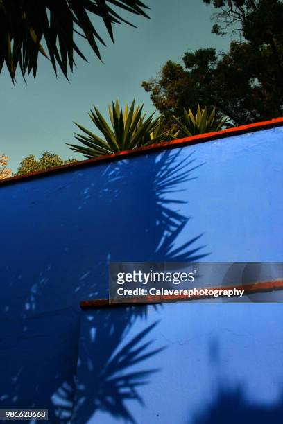 pared azul y sombras - mexico - sombras stock pictures, royalty-free photos & images